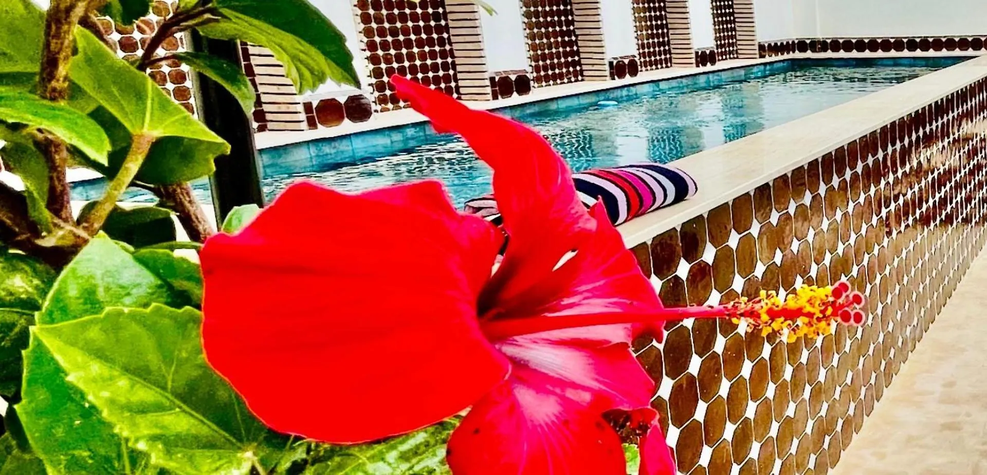 Hotel Dar Najat Marrakesh Marruecos
